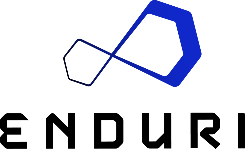 Enduri Logo